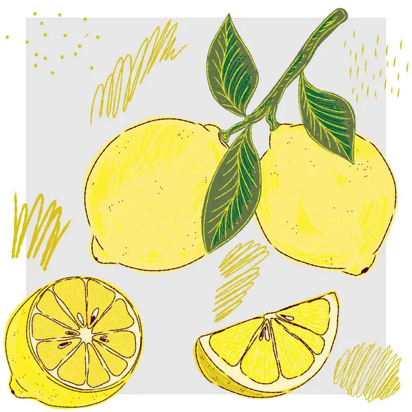 Dala konmuş limon. Akdeniz elementi, egzotik tropikal. Elle çizilmiş taslak ögeleri ile desenli illüstrasyon