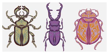 Doğadan esinlenmiş, karmaşık Art Nouveau desenli bir böceğin dekoratif çizimi..