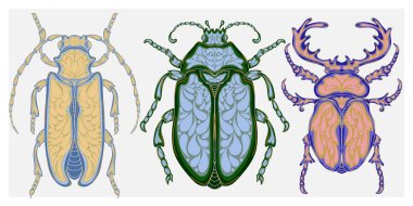 Doğadan esinlenmiş, karmaşık Art Nouveau desenli bir böceğin dekoratif çizimi..