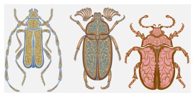 Doğadan esinlenmiş, karmaşık Art Nouveau desenli bir böceğin dekoratif çizimi..