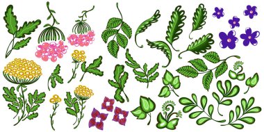 Klasik el yapımı botanik dekoratif elementlerden oluşan bir koleksiyon. Zarif girdaplar, tomarlar ve çiçek desenleri. Davetiyeler, etiketler, ambalajlar ve tatil dekorasyonu için mükemmel