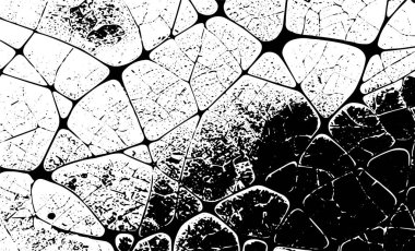 Grunge iç içe geçmiş doku, iplikler, çizgiler, tel, damarlar, monokrom. Grunge eski detaylı siyah beyaz doku. Vektör arkaplan