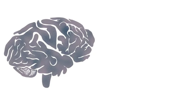 Kalıplaşmış Beyin Şekilli Boş Arkaplan Tasarımı — Stok fotoğraf