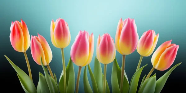 Colorful Tulips Green Background Flowers Spring Flowers Women Day Floral — Stock Photo, Image