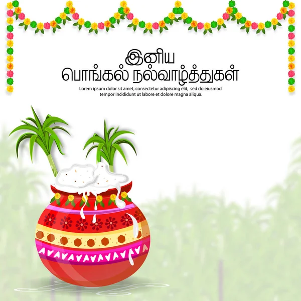 Güney Hindistan 'da Mutlu Pongal Tatil Hasat Festivali' nin resmi. Happy Pongal Tamil Metnini Çevir.