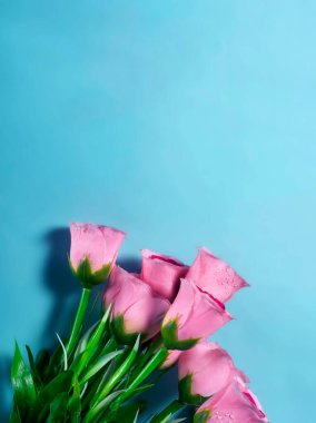 Fotokopi alanı olan mavi arka planda pembe güller.