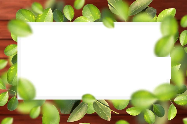 Grüne Blätter Rahmen Auf Hölzernem Hintergrund Mit Kopierraum Für Text — Stockfoto