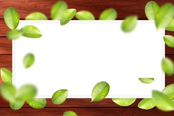 Grüne Blätter Auf Hölzernem Hintergrund Mit Kopierraum Für Text — Stockfoto