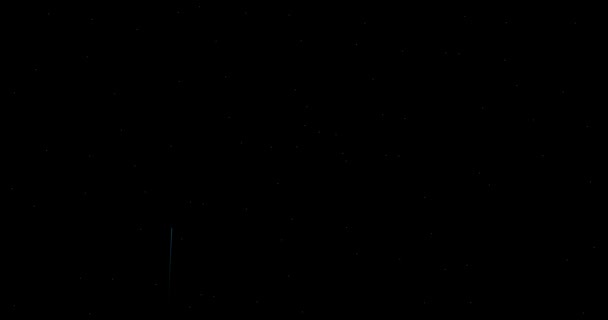 黒い背景でアニメーションされた花火 ハッピー ディワリの背景 7月4日独立記念日 大晦日の花火大会を背景に — ストック動画