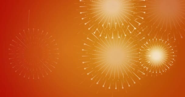 Fuegos Artificiales Animados Diwali Celebración Fondo Para Julio Año Nuevo — Vídeos de Stock