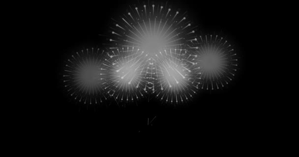 Vuurwerk Motion Graphics Zwarte Achtergrond Diwali Festival Viering Vuurwerk Achtergrond — Stockvideo