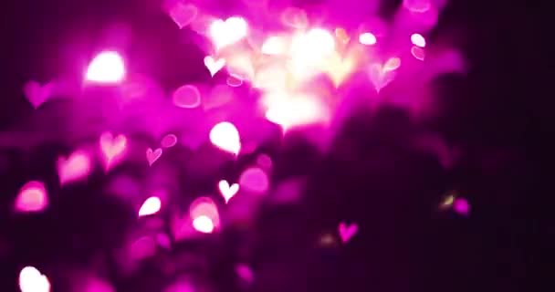 Růžová Barva Láska Srdce Zářící Bokeh Efekt Černém Pozadí Romantické — Stock video
