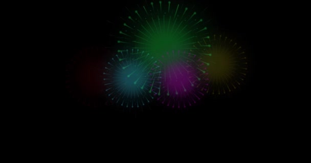 Animovaná Pohybová Grafika Pestrobarevného Ohňostroje Černém Pozadí Července Nový Rok — Stock video