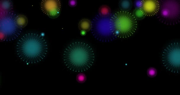 Animated Motion Graphic Van Kleurrijk Vuurwerk Zwarte Achtergrond — Stockvideo