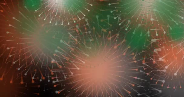 Animated Motion Graphic Fireworks Indian National Flag Colors Black Background — Vídeos de Stock