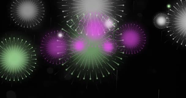 ホリデーのお祝い 暗い背景にボケ効果を持つ多色花火 — ストック動画