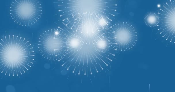 ブルーバックグラウンドにボケ効果のある休日の花火のアニメーションモーショングラフィックス — ストック動画