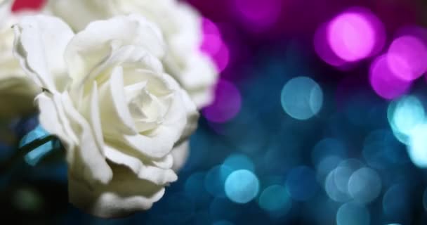 Primer Plano Hermosa Rosa Blanca Frente Brillante Fondo Bokeh Oropel — Vídeos de Stock