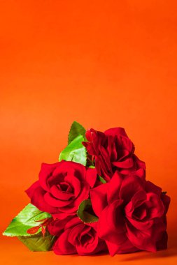 Fotokopi alanı olan parlak turuncu arkaplanlı kırmızı güller. Sevgililer Günü konsepti