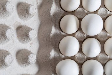 Beyaz yumurtaların karton tepside düzgünce dizilmiş yakın plan bir görüntüsü. Gıda veya organik ürünler için.