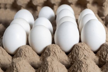 Karton bir kutuya yerleştirilmiş taze beyaz tavuk yumurtaları. Yemek fotoğrafçılığı için mükemmel. Aşçılıkla ilgili fikirler.