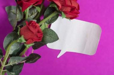 Beyaz bir konuşma balonunun yanında koyu pembe arka planda yeşil yapraklı yapay kırmızı güller özel durumlar için aşk ve duygu ifadelerini ya da romantik jestleri temsil eder..