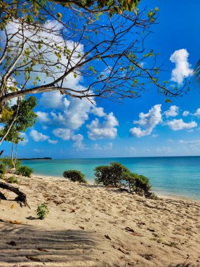 Mavi gölü olan kumlu sahil