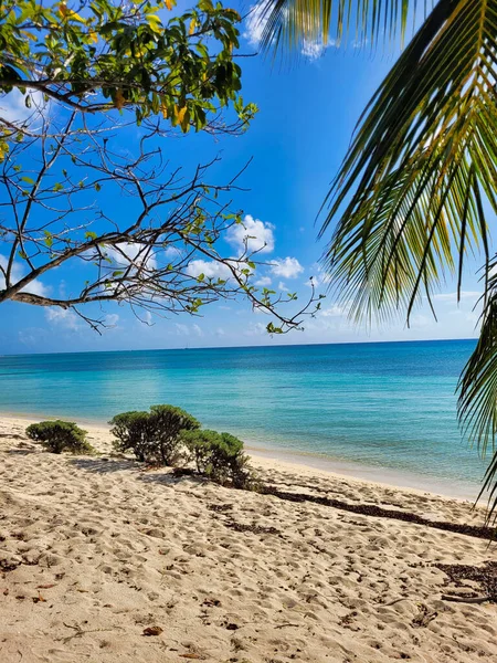 Plaża Palmami Wyspie Pięknym Tle Nieba — Zdjęcie stockowe