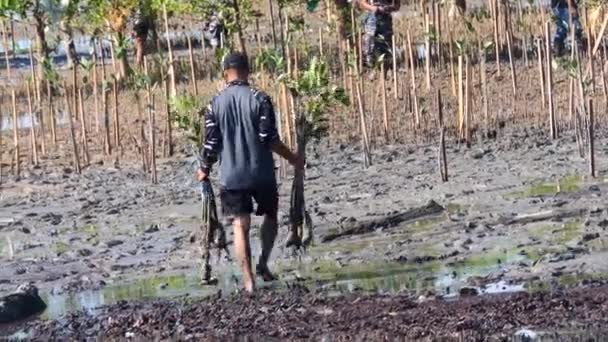 Tarakan Indonésie 2022 Des Volontaires Réunissent Plantent Jeune Arbre Dans — Video