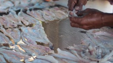 Endonezyalı işçiler güneşte kurutulmak üzere balık düzenliyor, ince tuzlanmış balıklara dönüştürülüyor.