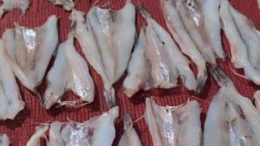 Seçici odaklı kuru balık (ikan tipis) balıkları kuru tutmak için güneş ışığı altında plastiğin üzerine yerleştirilir. Tarakan, Endonezya 'da ikan tüyoları yapmak.