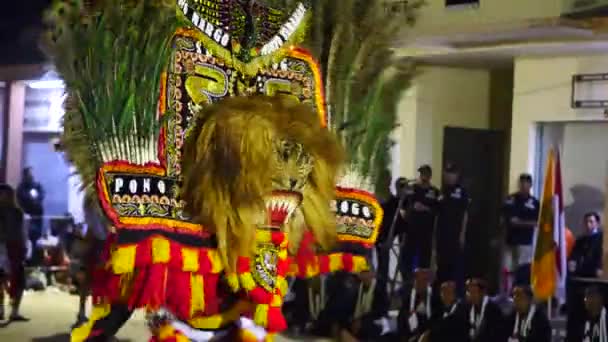 インドネシアのタラカン 08152022 Reog Ponorogoはインドネシアの伝統舞踊です 孔雀の羽で飾られた大きな虎のマスクを身に着けているダンサー — ストック動画