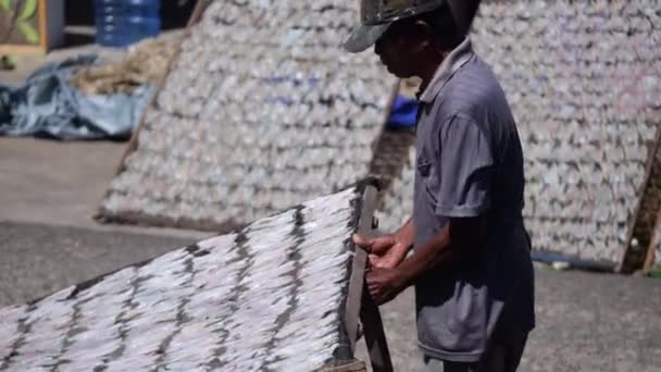 Tarakan Endonezya 2022 Geleneksel Kurutulmuş Balık Düzenleyen Endonezyalı Bir Adam — Stok video