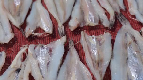 魚を乾燥させるために 太陽の光の下でプラスチックの上に選択的な焦点乾燥魚 イカの先端 を配置します インドネシア タラカンでの会館の作り方 — ストック動画