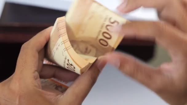 2022年12月19日 商人将钱算在手上 商人手里拿着卢比 男人在数纸钱 有选择的重点 — 图库视频影像