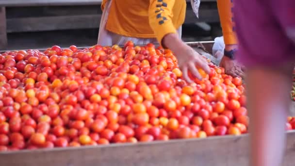 Indonéská Žena Vybírá Zeleninu Tradičním Mokrém Trhu Nakupujte Místních Trzích — Stock video