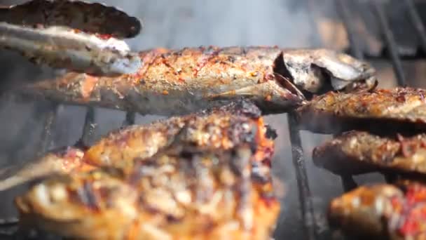 Detailní Záběr Vařící Ryby Pečení Pečení Marinovaných Ryb Grilu Mořské — Stock video