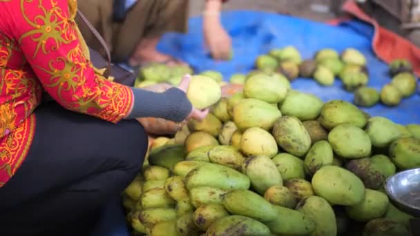 Sujetando Mango Mango Verde Manos Mujer Recoger Mangos Frescos Mano — Vídeos de Stock