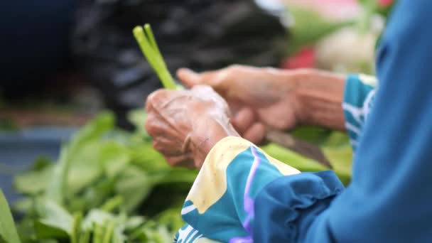 Mãos Mulher Sênior Indonésia Preparando Vegetais Folha Verde Para Cozinhar — Vídeo de Stock