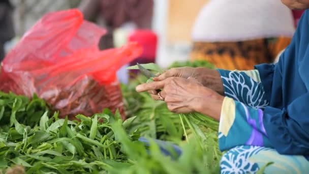 Hands Indonesian Senior Woman Preparing Green Leaf Vegetable Cooking — Stock Video