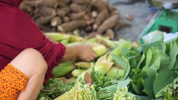 Mão Uma Mulher Indonésia Está Selecionando Comparando Milho Mercado Tradicional — Vídeo de Stock