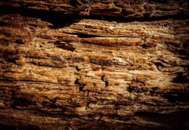 Ürün montajı için pürüzlü duvar arkaplanı