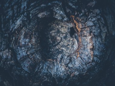 Ürün montajı için pürüzlü duvar arkaplanı