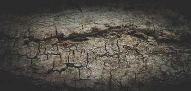 Ürün montajı için pürüzlü duvar arkaplanı