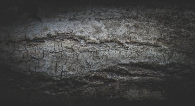 Ürün montajı için pürüzlü duvar arkaplanı