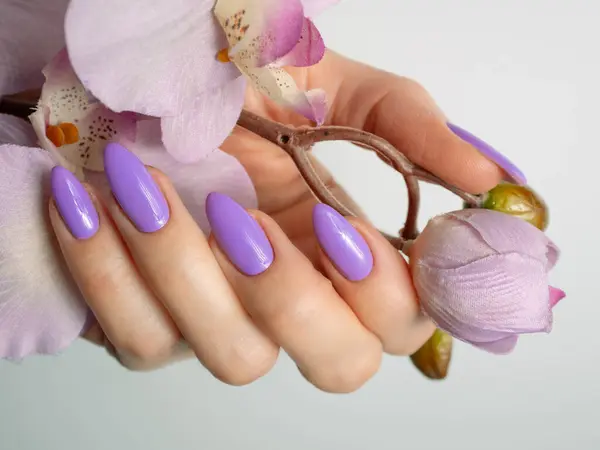 Elegante Moda Uñas Mujer Joven Manos Manicura Violeta Fondo — Foto de Stock