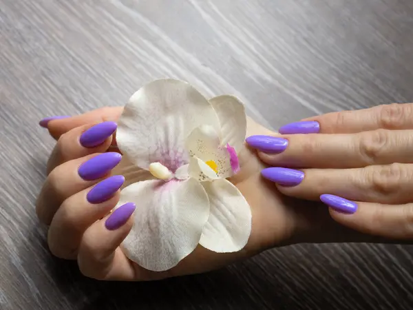 Stilvolle Trendige Nagel Junge Frau Hände Violette Maniküre Auf Dem — Stockfoto