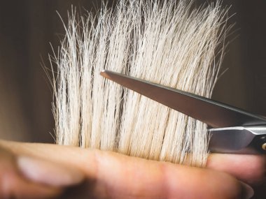 Kuaför saçını kesiyor. Profesyonel kuaför makası.