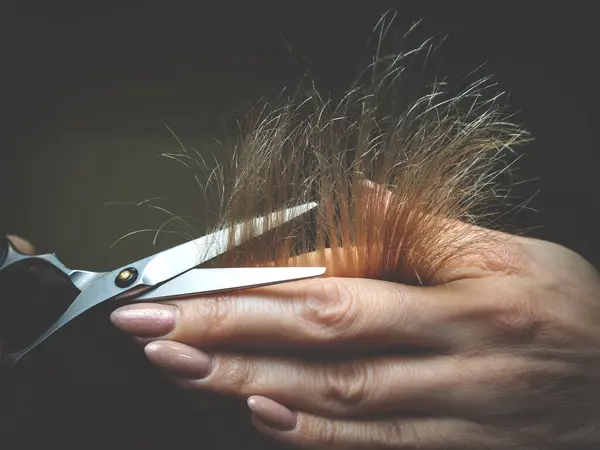 Hairdresser trimming light hair with scissors