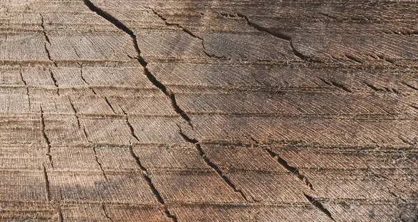 Holzstruktur Von Einer Getönten Farbe Nahaufnahme Hintergrund Aus Natürlichem Holz lizenzfreie Stockbilder